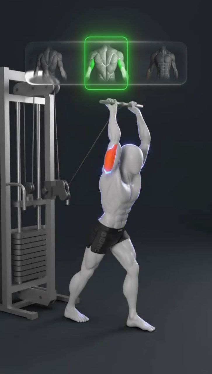 تصویر حرکت پشت بازو بالای سر قرقره وسط میله صاف (پرس پشت بازو قرقره وسط با میله صاف)