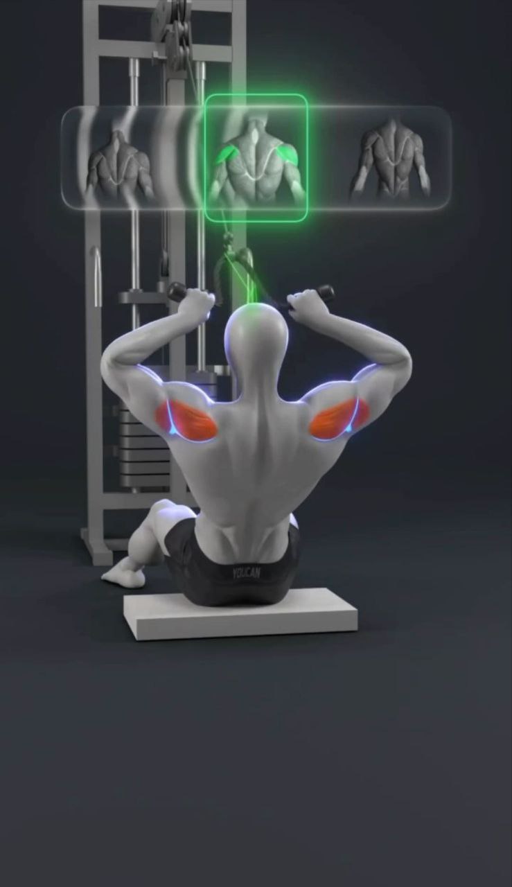 تصویر حرکت فیس‌پول نشسته قرقره بالا