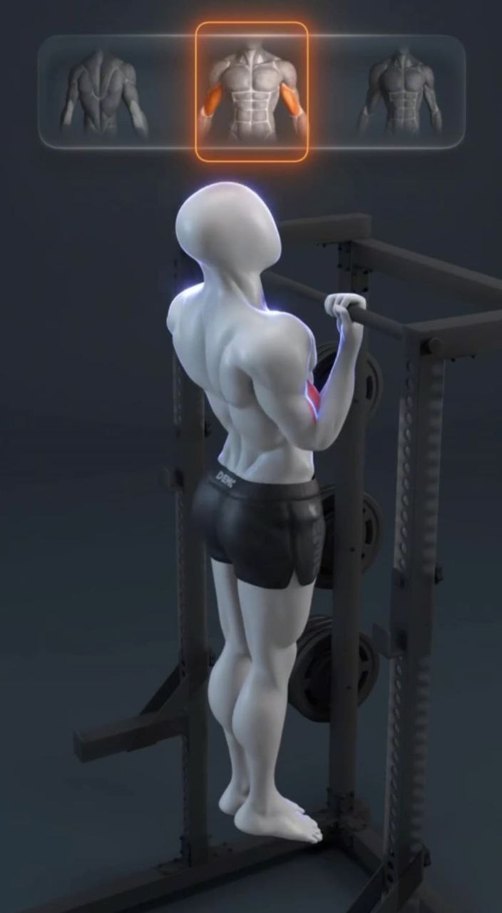 تصویر حرکت بارفیکس دست معکوس